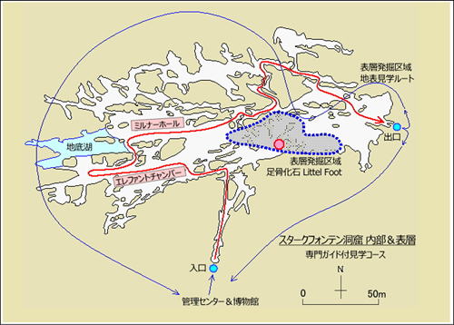 プラン図　スタークフォンテン洞窟Sterkfontein Cave inside・内部＆表層アウトライン（平面投影視）