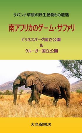 ��A�t���J�̃Q�[���E�T�t�@���@�s���l�X�o�[�O���������@�N���[�K�[��������