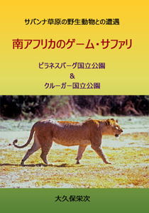 �y�[�p�[�o�b�N�Ł@��A�t���J�@�Q�[���E�T�t�@��