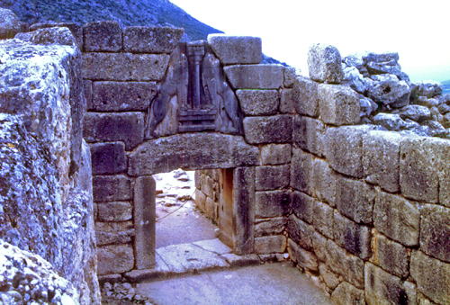 �~�P�[�l�����@�~�P�[�l�{�a��Ձ@���C�I����Lion Gate